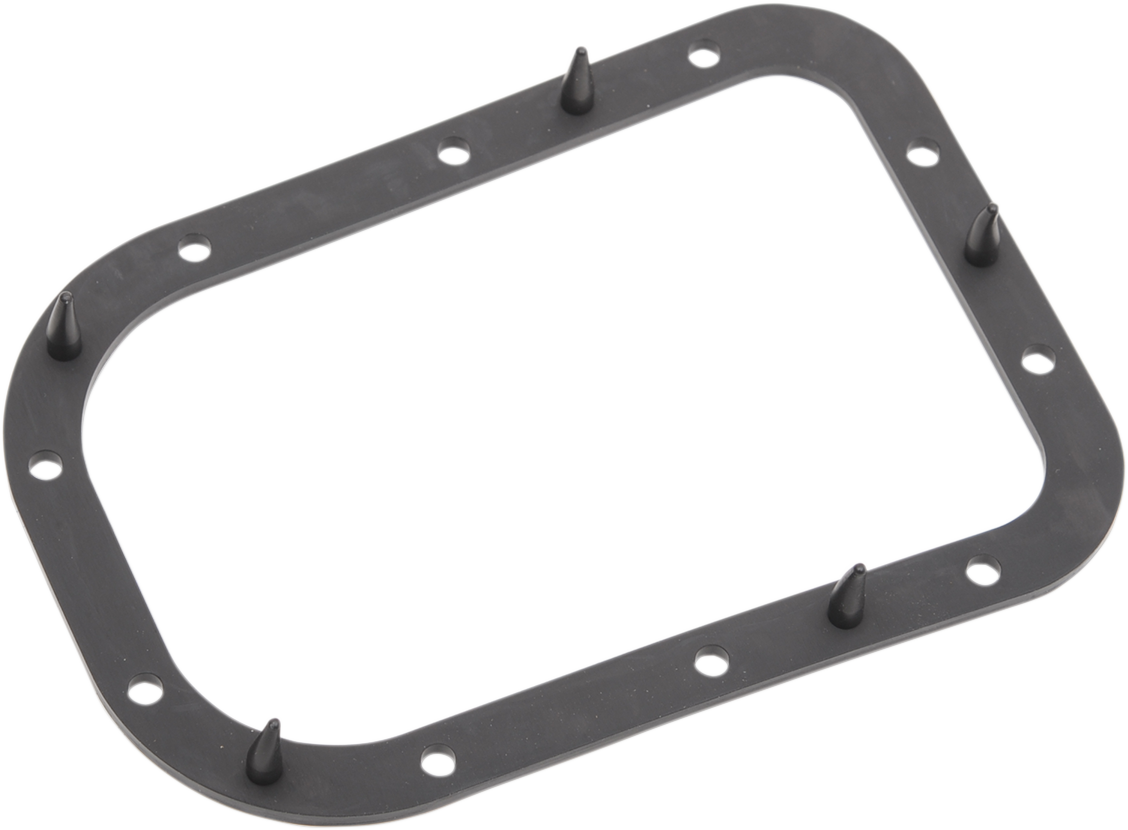 Fuel Pump Door Seal - Dyna