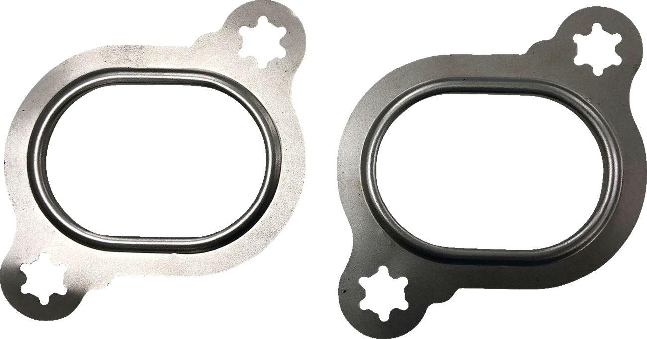 Head Pipe Port Gaskets