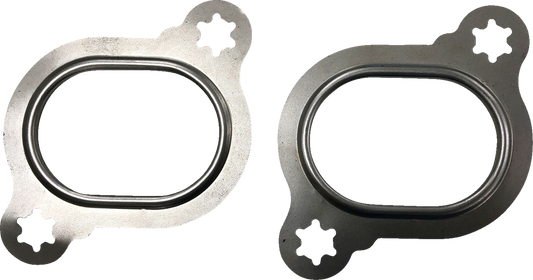 Head Pipe Port Gaskets