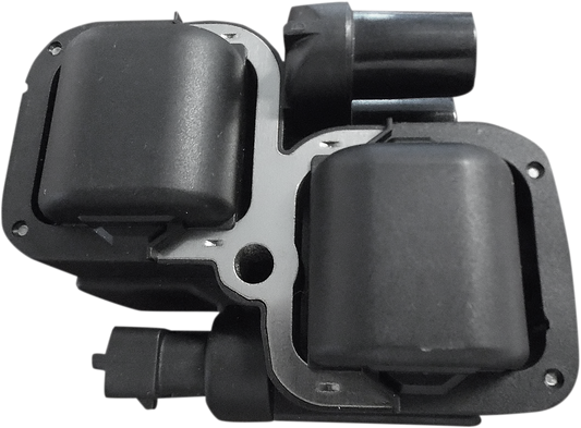 Ignition Coil - Black - Indian