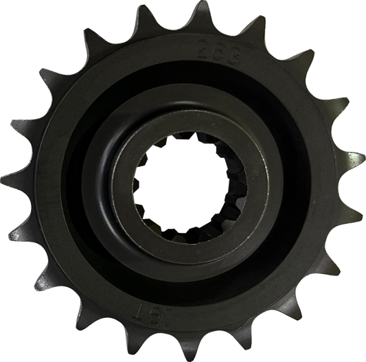 Front Sprocket - 19 Tooth - Pan America