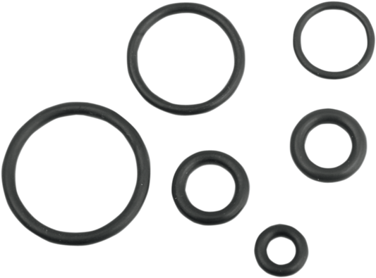 Replacement Fuel Line O-Ring Kit - EFI