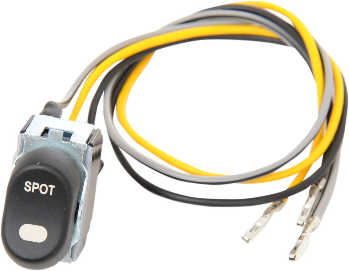 Speaker Rocker Switch - '96-'13 FLT