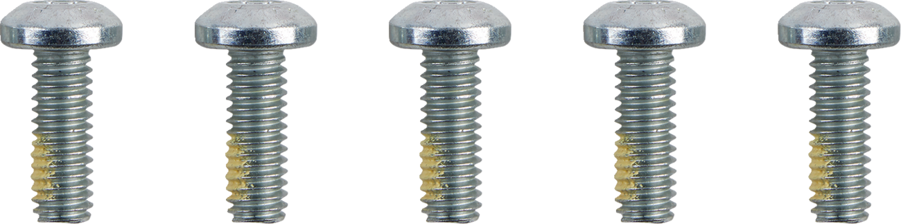 Hardware Kit - Brake Rotor - Torx - with Nuts - 5/16"-18