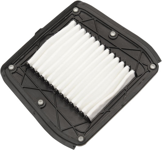 OEM Replacement Air Filter - Indian